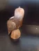 Eagle wood sculpture photo 3