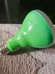Green Grow Light Bulb photo 1