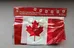 Brand New Plastic Canada Flag Banner - 6 Flags photo 1