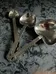 Heart measuring spoons photo 1