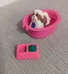 Littlest Pet Shop Dog Playset  photo 1