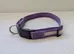 PcEoTllar LED Dog Collar Rechargeable Light Up Dog - Size Large photo 2
