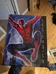 Plaqued Spider-Man Poster photo 1