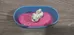 Littlest Pet Shop Dog Bed and Dog Toy photo 2