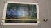 Claude Monet Print - The Duck Pond photo 3