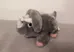 Grey Plush Triceratops Stuffed Animal photo 1