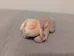 Vintage Plush Sleeping DogToy photo 1