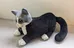 Socks the White House Cat Plush Toy photo 1