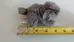 Small Grey Plush Cat Toy photo 3