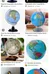 ISO Globes 🌎  photo 1