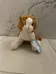 BNWT small webkinz striped alley cat photo 1