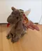 Brand New Ty Beanie Babies Scorch the Dragon photo 1
