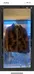Fur jacket photo 1