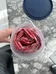 Red Rose Petals  photo 2